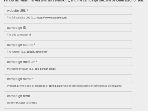 Screenshot of Google Campaign Builder form